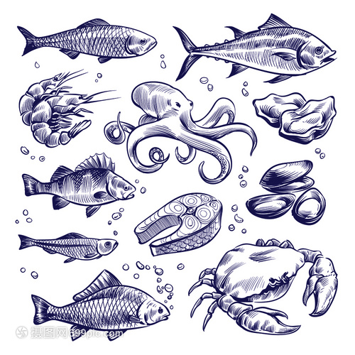 卡通手绘海洋生物