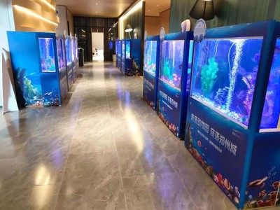 海洋生物鱼缸展海洋生物展出租海洋生物展租赁海洋动物出租水母展览