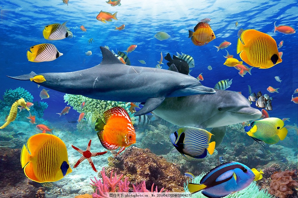 海洋生物