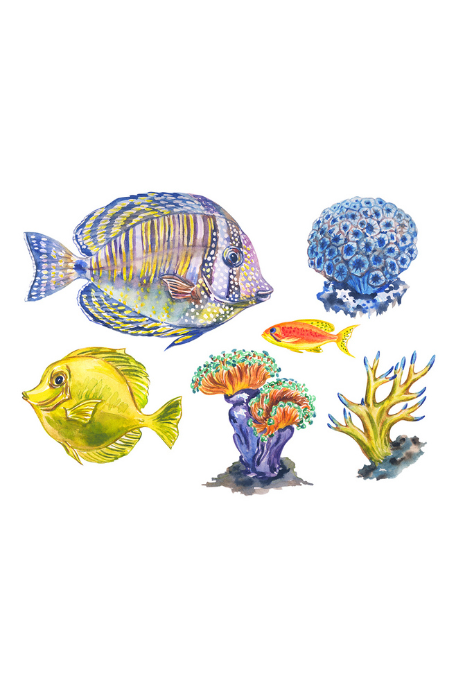海洋生物免抠素材