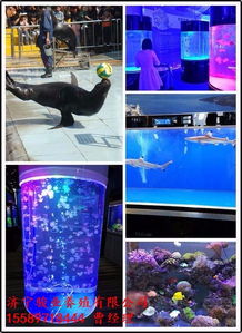 温岭 出租海洋主题动物展全国各地均可上门