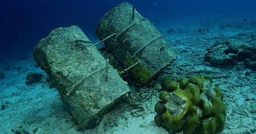 美国南加州海底成垃圾场,现2.5万桶剧毒物 附近海洋生物已染病
