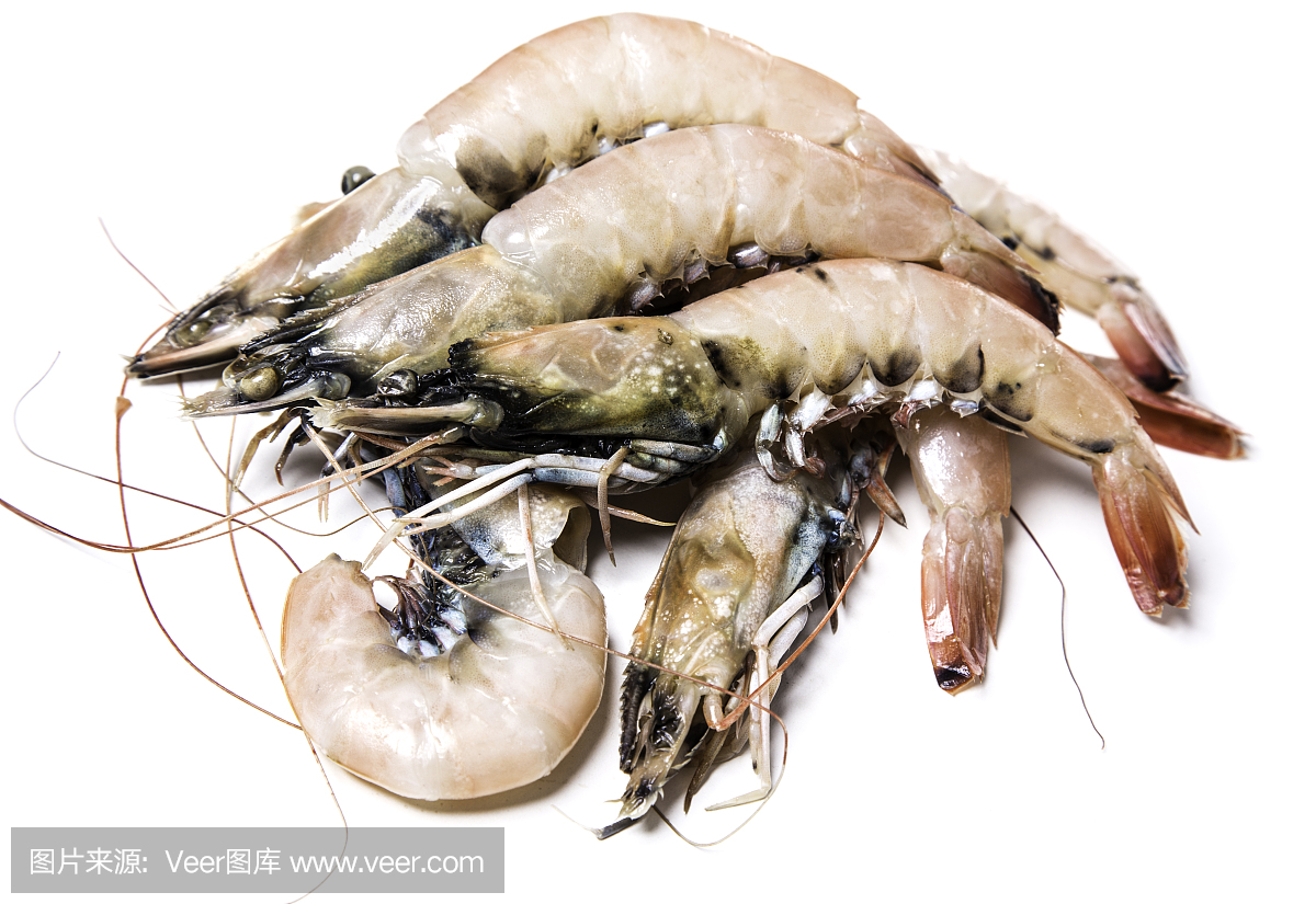 生虾