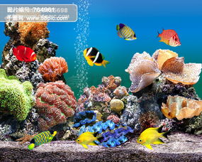海洋生物