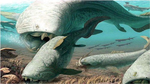 假如海洋生物有段位,看看哪一个才是真正的海洋霸主