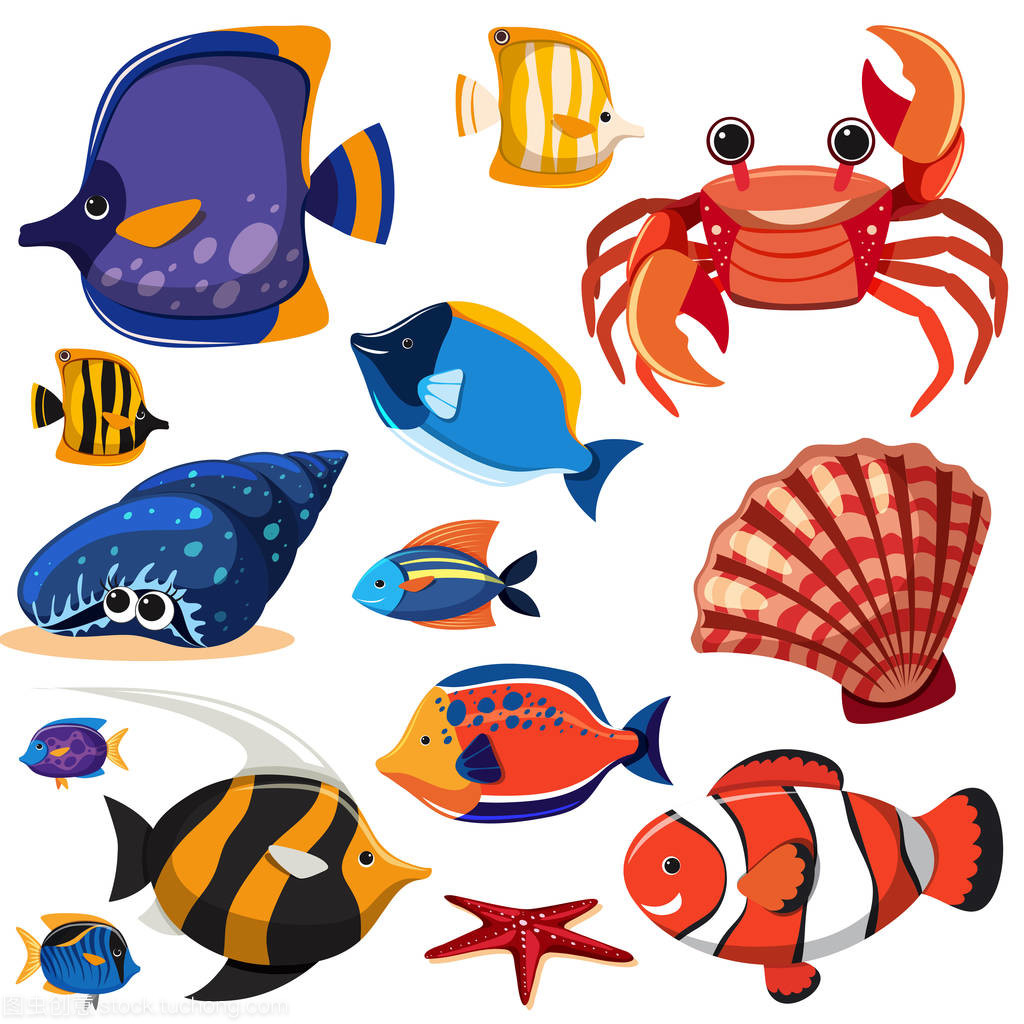 一组海洋生物插图