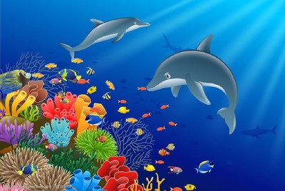 多彩海洋生物