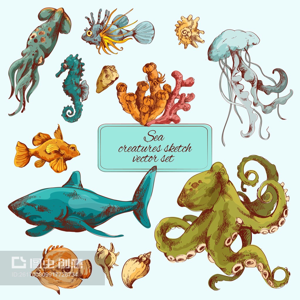 海洋生物素描彩色Sea creatures sketch colored