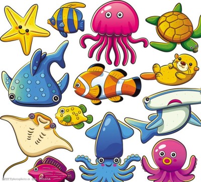 海洋生物