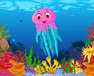 海洋生物