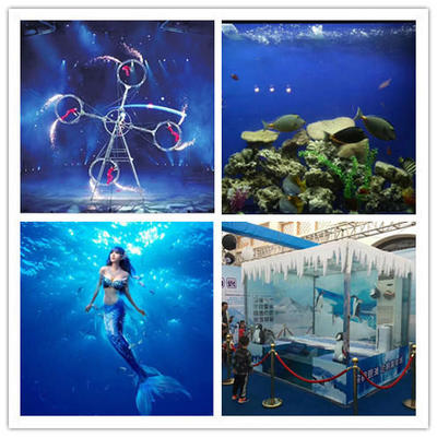 【大型海狮表演,海洋生物展览,鱼缸展
