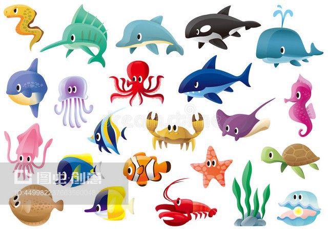 海洋生物Marine organisms