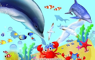海洋鱼类大集合
