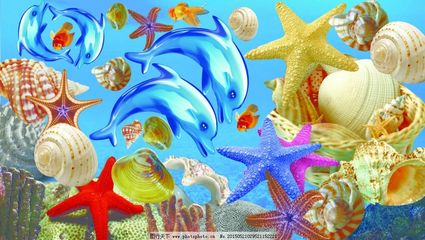海洋生物图片