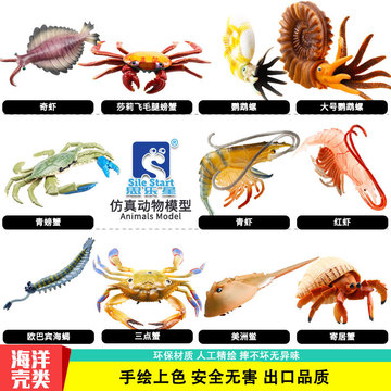 跨境仿真海洋生物模型鹦鹉螺寄居蟹对虾海蝎奇虾螃蟹美洲鲎菊石