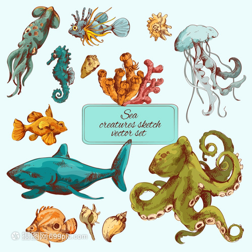 海鱼海洋生物素描彩色装饰图标矢量插图