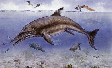 疑似地球生命起源的南极“死亡冰柱”,能瞬间冰冻海洋生物