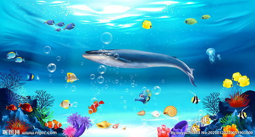 海洋生物图片