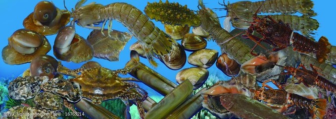 海产品图片