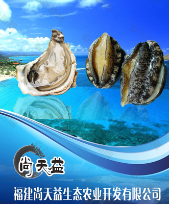 海产品公司展板图片