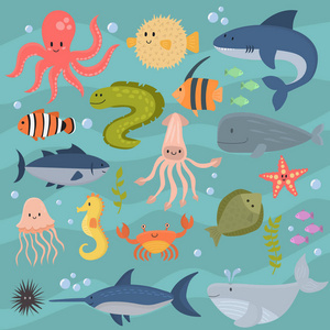 设置水生有趣的海洋动物水下生物卡通人物贝壳水族馆海洋生物矢量插图