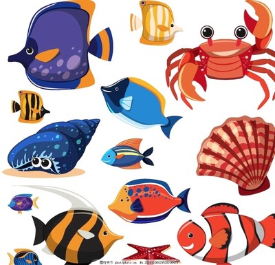 海洋生物图片