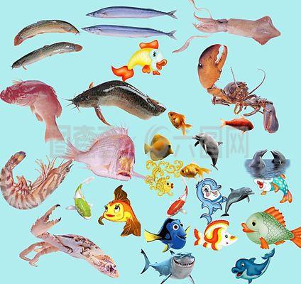 海洋生物图片