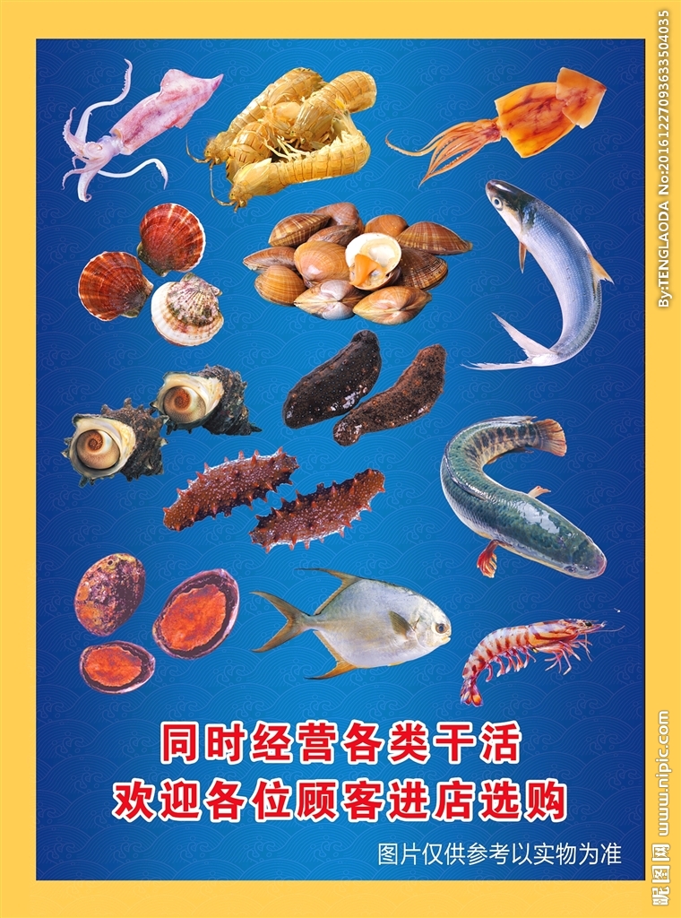 海产品设计图__海洋生物_生物世界_设计图库
