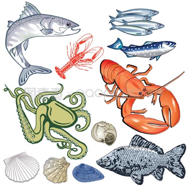 海鲜、鱼类、贻贝插图