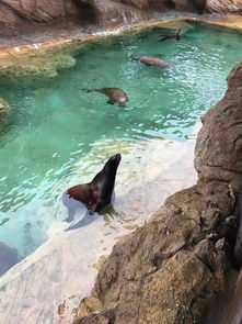 乐观旅游珠海长隆体验师第一场活动圆满结束