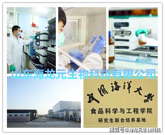 点赞 山东海龙元项目入选新旧动能转换重大项目库