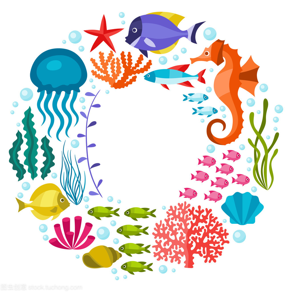 海洋动物海洋生物背景设计