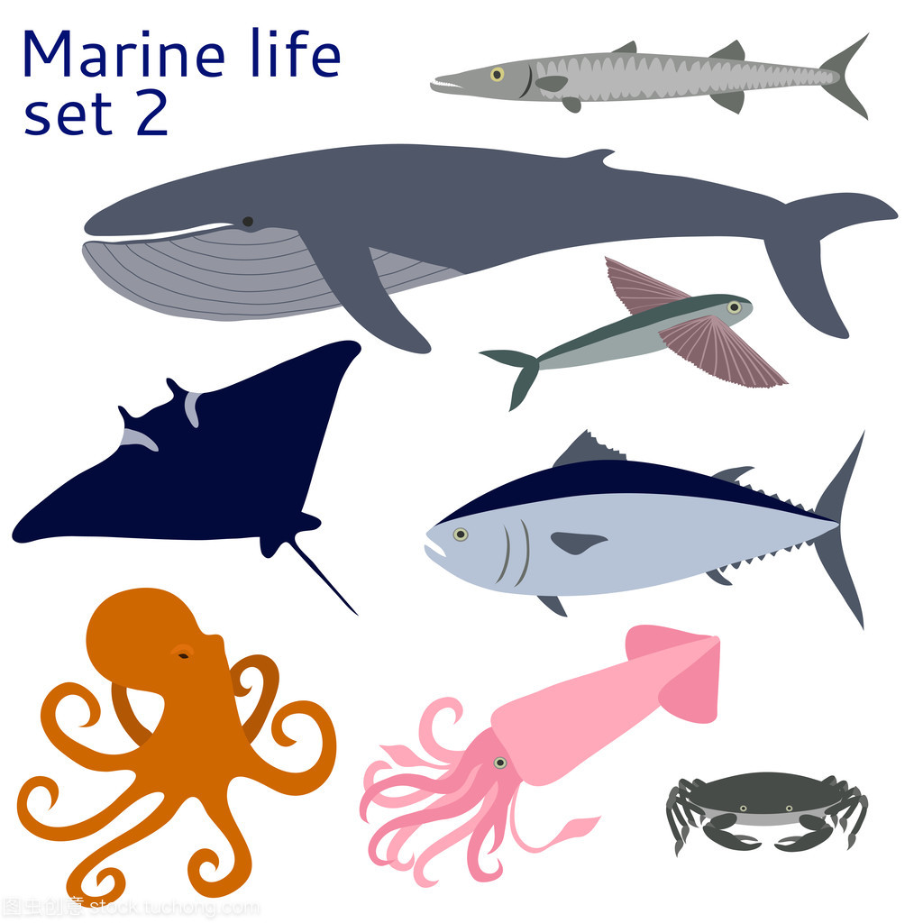 鱼类和其他海洋生物