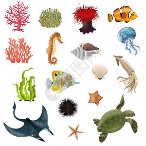 海洋生命章与手绘章鱼蟹果冻鱼矢量插图海洋生活涂鸦插图插画图片下载-正版图片300940299