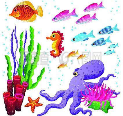 海洋生物图片