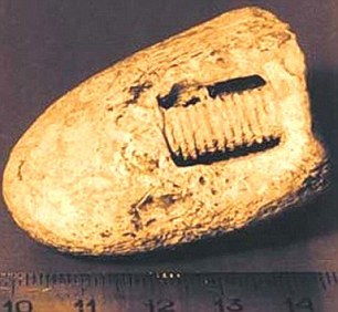 1998年,俄罗斯发现一枚约3亿年前的 螺丝钉 ,长什么样