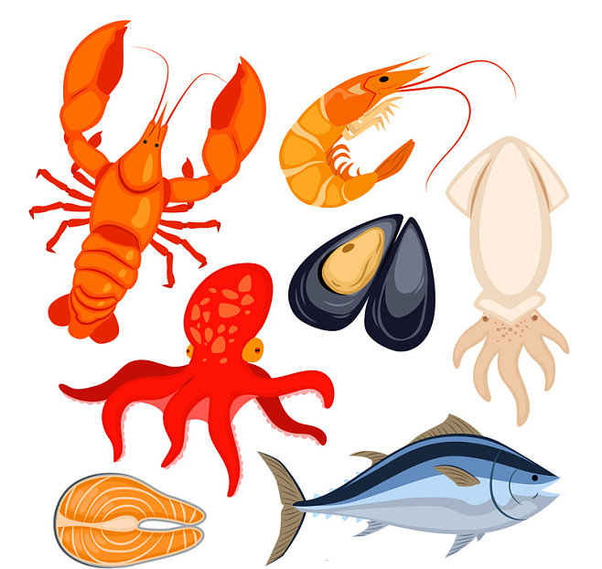 卡通海洋生物1