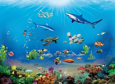 四季金辉:对话海洋生物 探秘神奇海底
