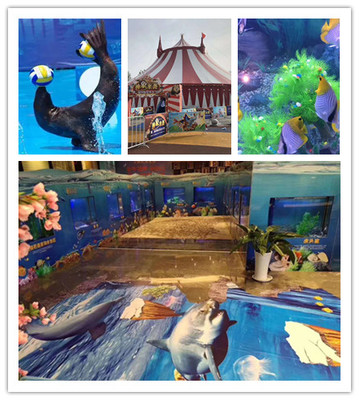 东港海洋生物鱼缸展出租