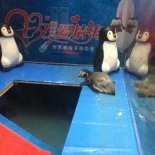 上海涛涛文化传媒公司 供应产品