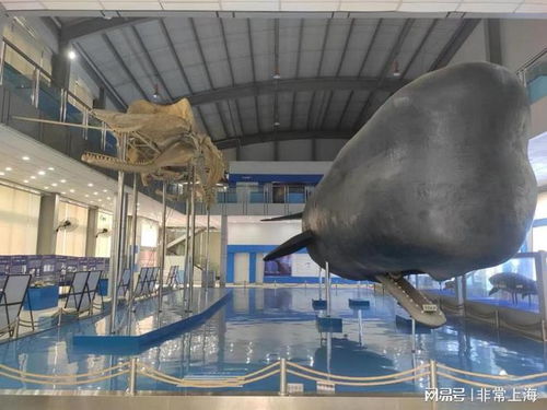 探寻技能与文化的独特魅力 上海杨浦区博物馆之旅