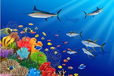 多彩海洋生物