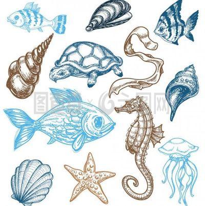 海洋生物图片
