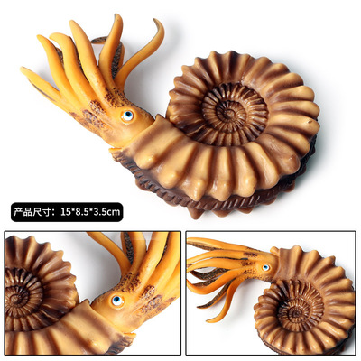 儿童仿真海洋生物模型海螺 鹦鹉螺贝壳玩偶 海底动物模型玩具摆件