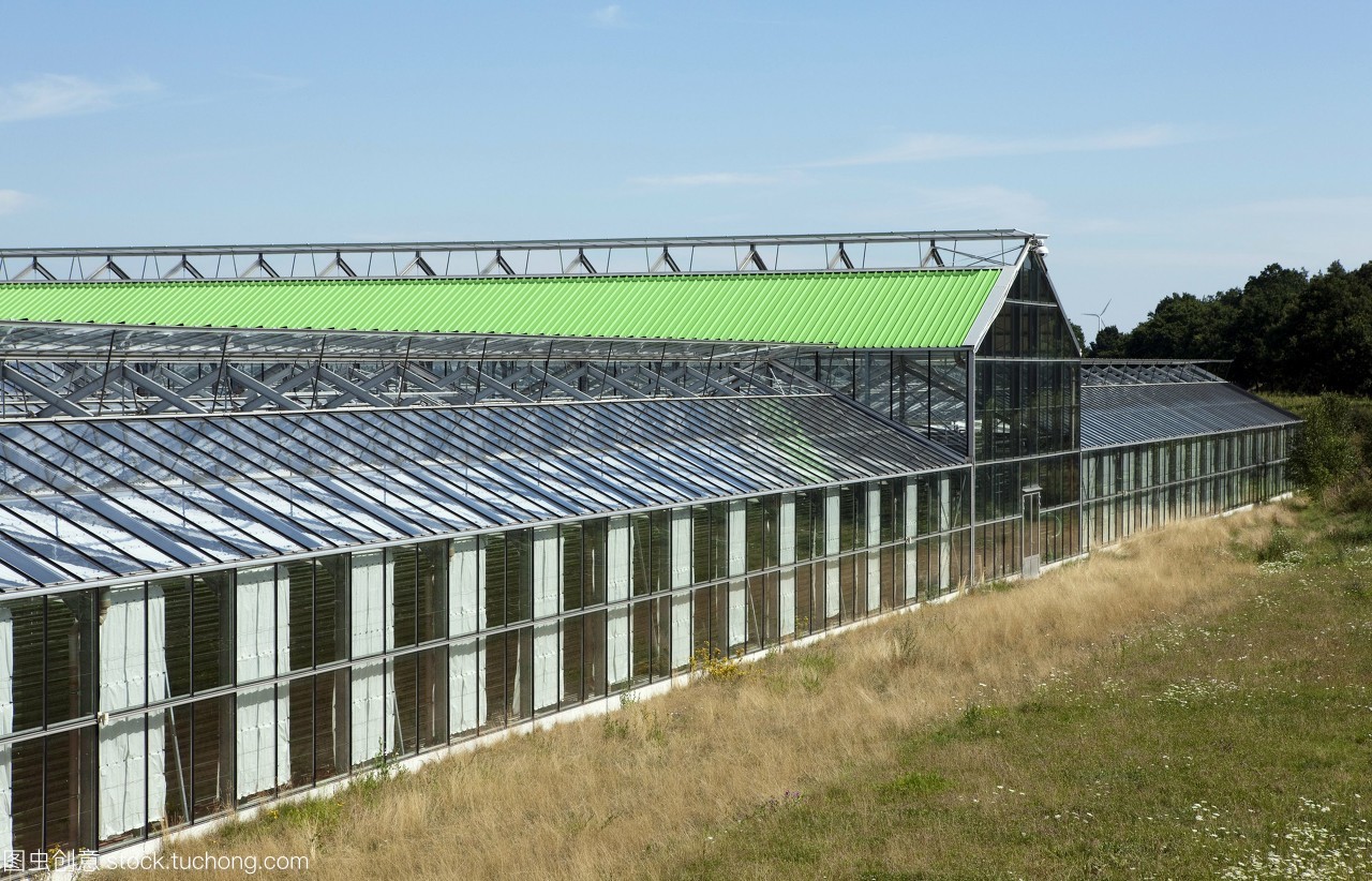 微藻生产食品补充剂。温室住房的生物反应器用于种植Odontellaauritamicroalga工厂。这海洋藻类被认为是一个“奇迹”食品的营养价值和自然净化和排毒属性。这是商业种植之前干和压缩成平板形式或添加到其他可食用的产品。在火箭工厂拍照Klotze德国。